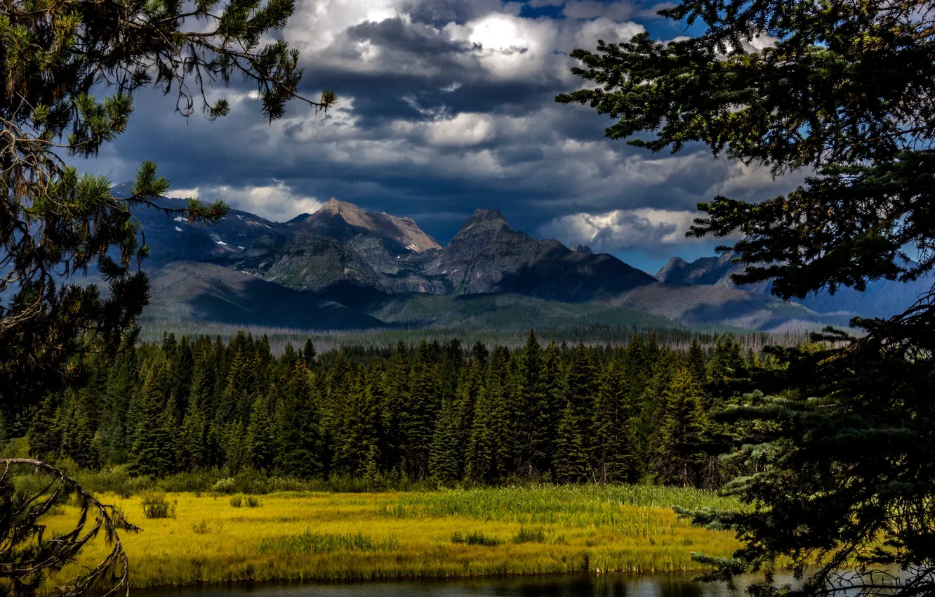 Photo wallpaper forest, clouds, trees, mountains, river, Canada, Glacier National Park, Montana