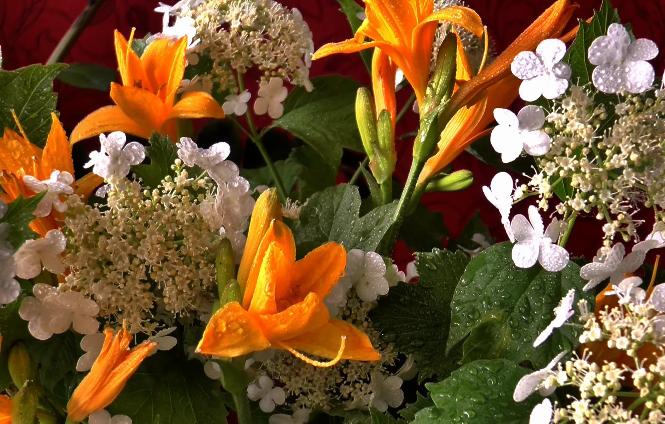 Photo wallpaper beauty, bouquet, still life, Kalina, daylilies