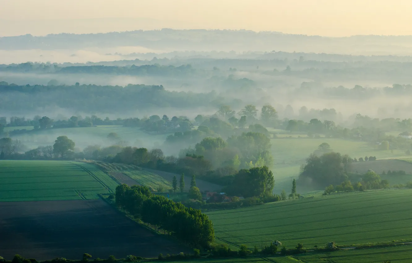 Photo wallpaper field, the sky, grass, trees, fog, hills, morning