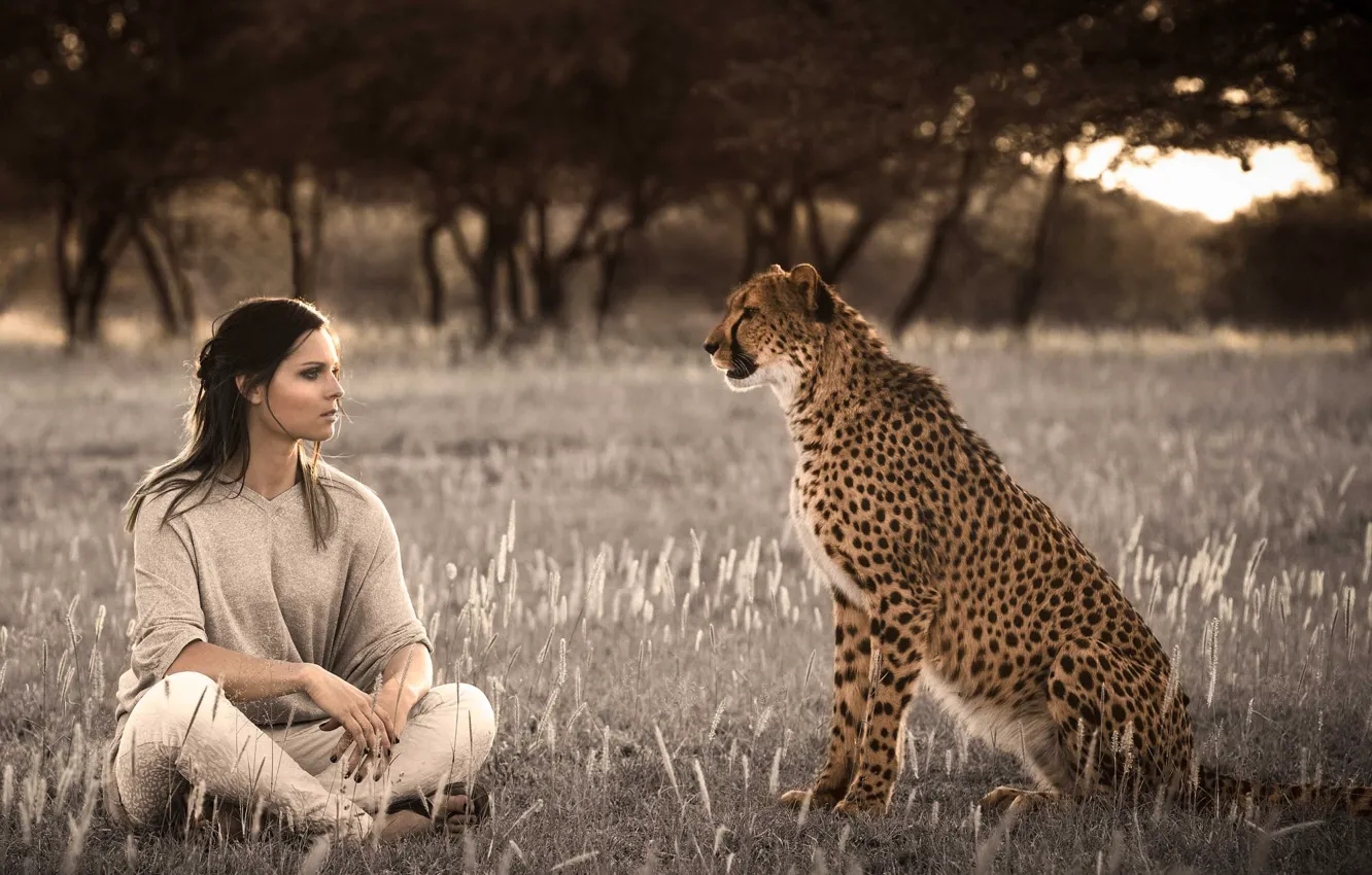 Photo wallpaper look, girl, Cheetah, Anna Fenninger