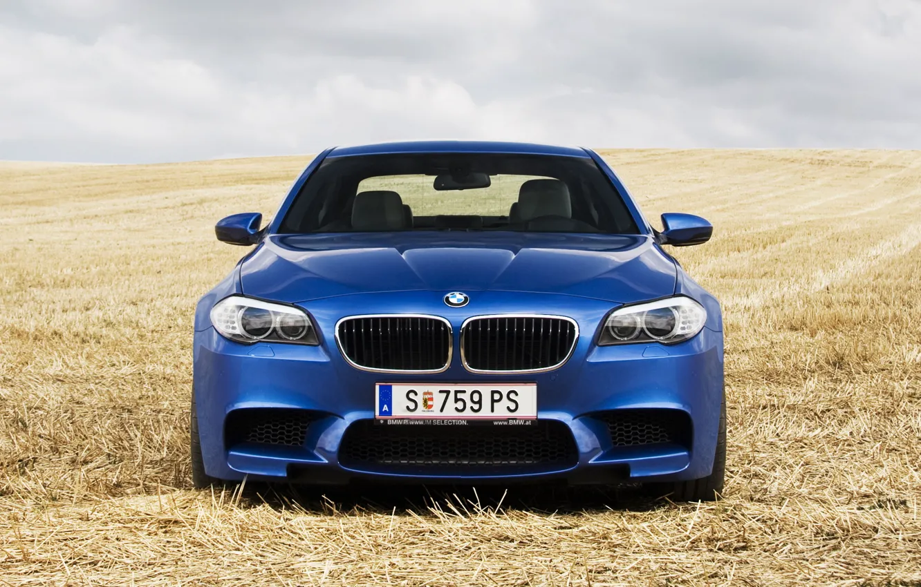 Photo wallpaper field, blue, BMW, the front