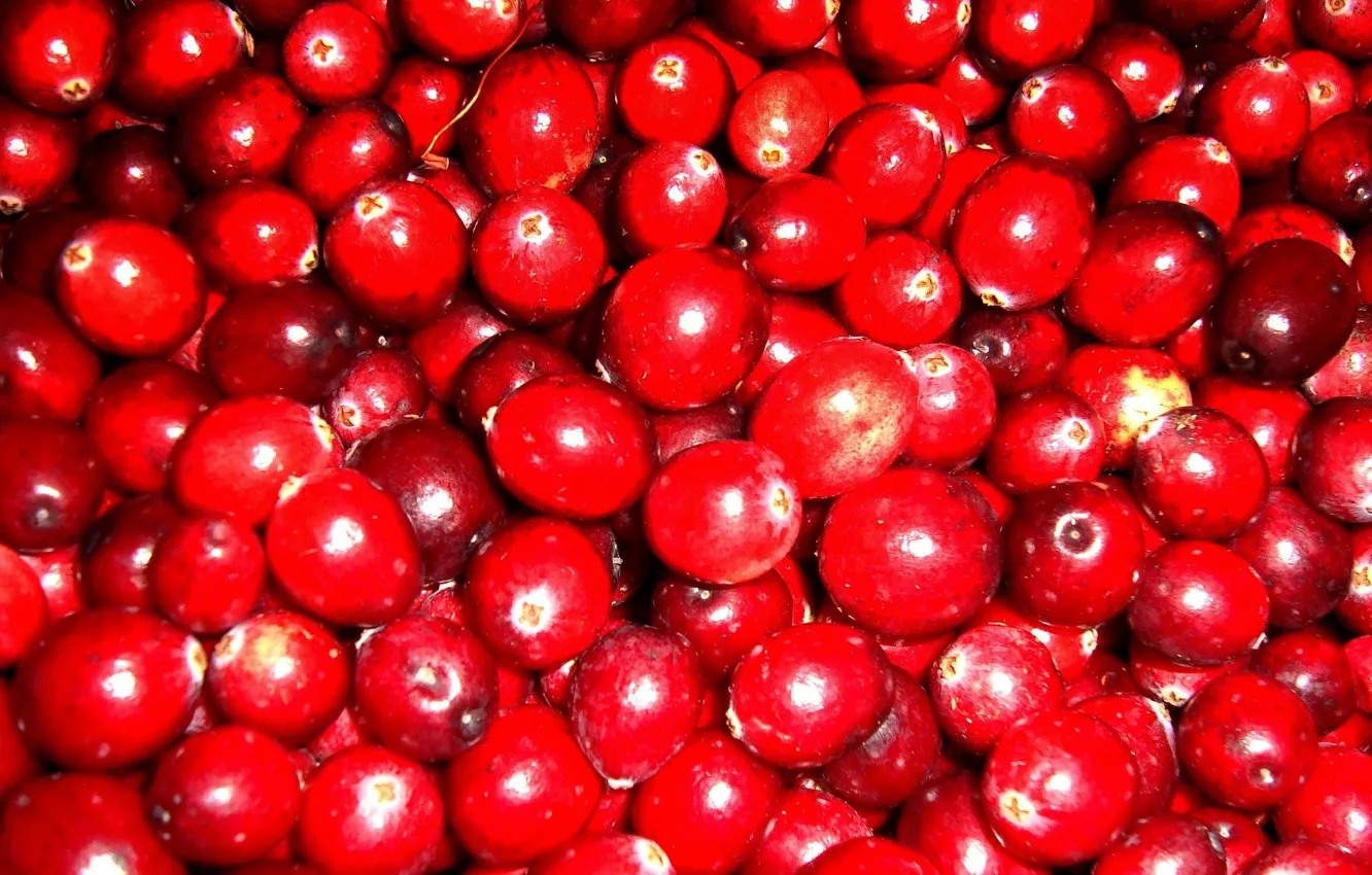 Photo wallpaper red, berries, placer, cranberry
