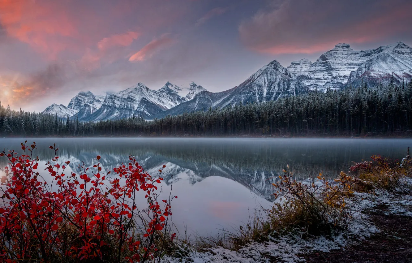 Photo wallpaper forest, snow, landscape, nature, fog, lake, Canada, Albert
