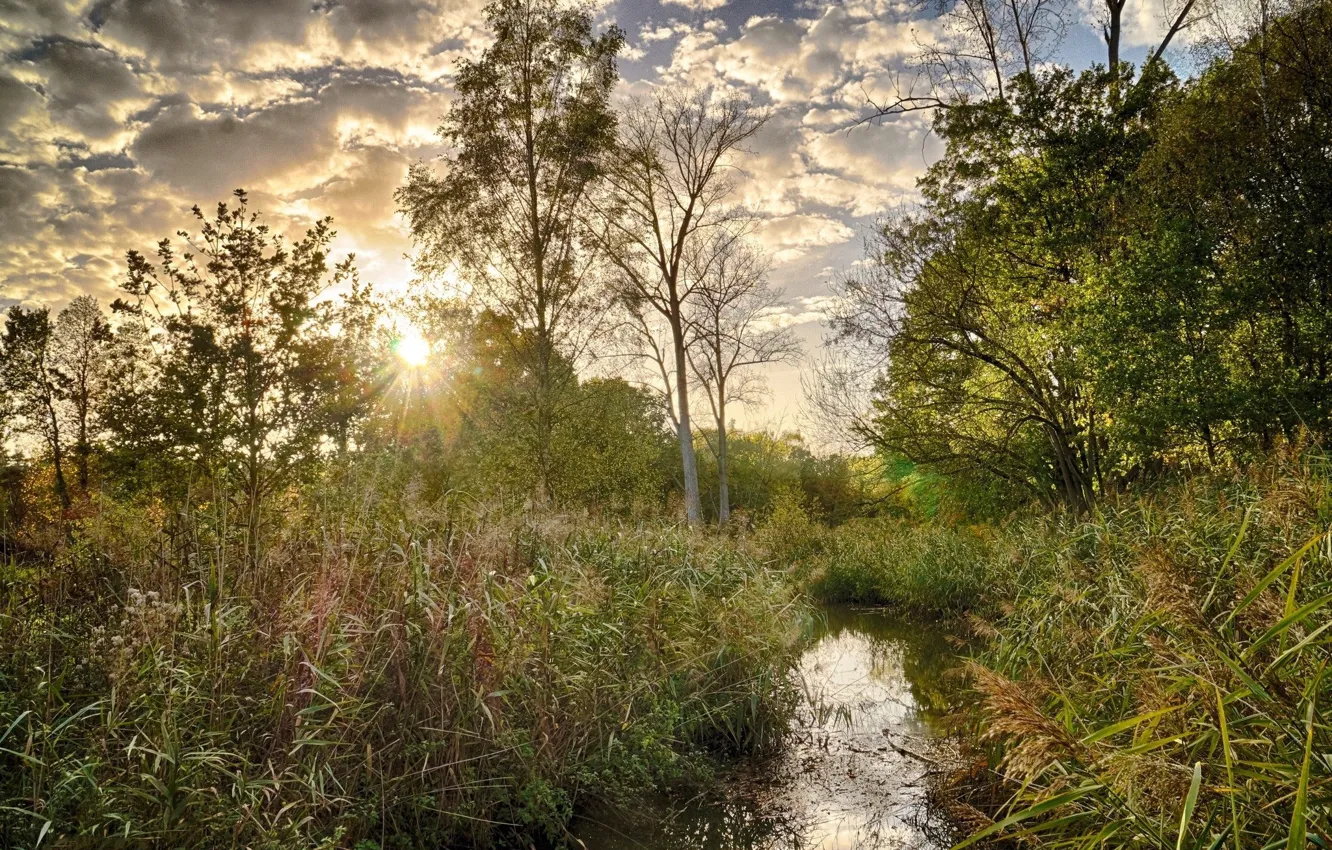 Photo wallpaper the sun, trees, landscape, channel