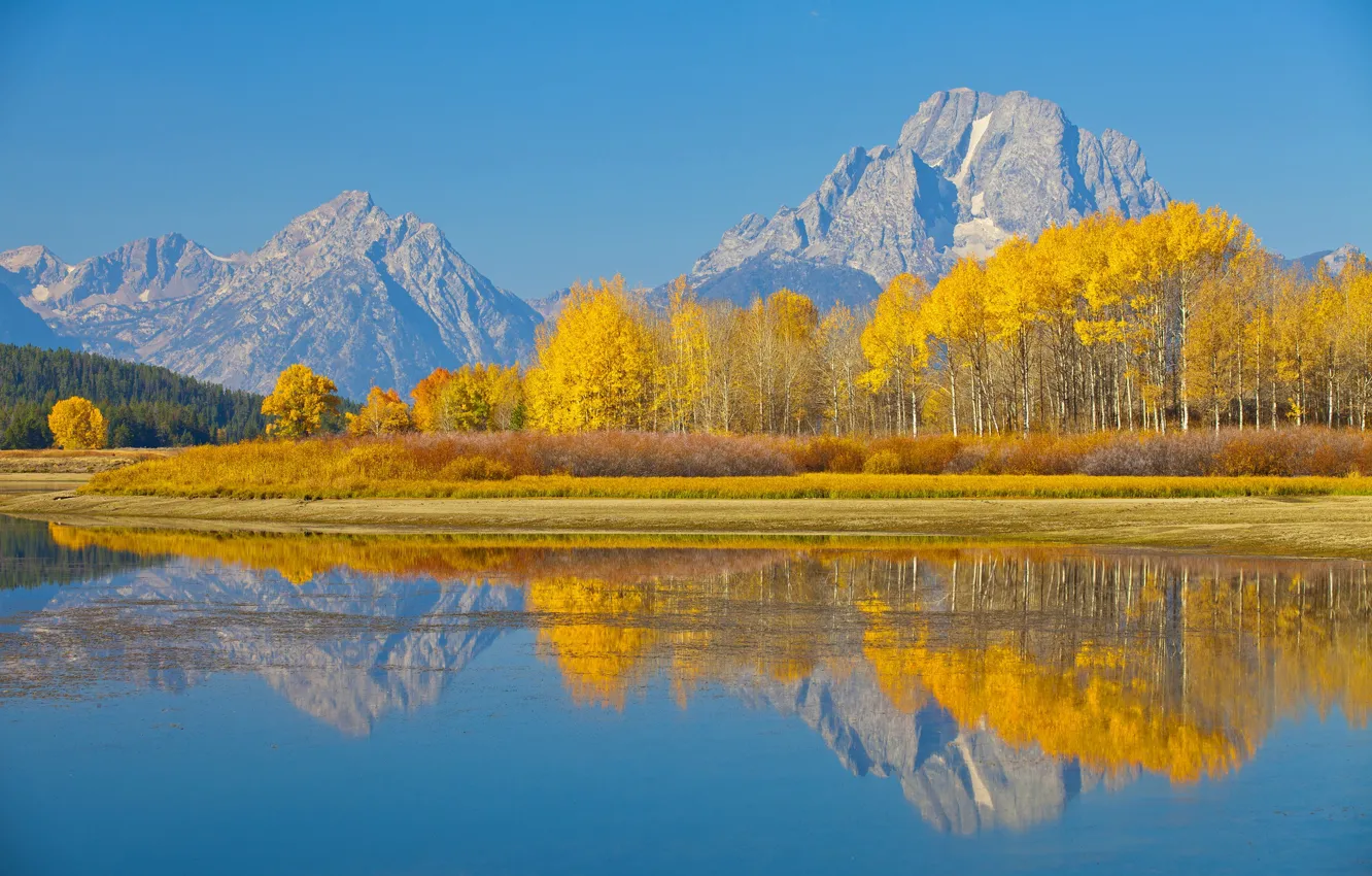 Photo wallpaper autumn, trees, mountains, lake, reflection, Wyoming, USA, Grand Teton