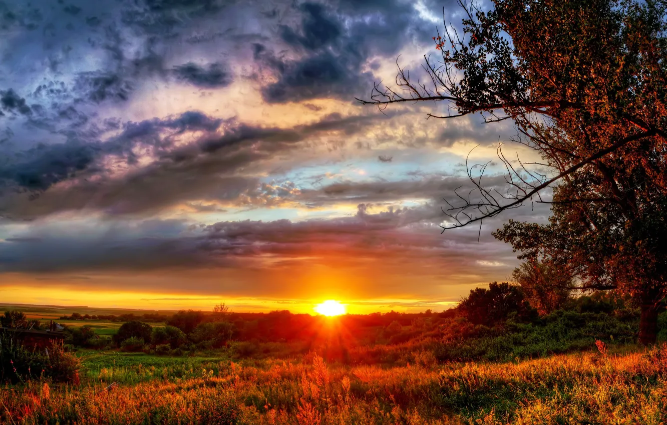 Photo wallpaper the sun, sunset, nature