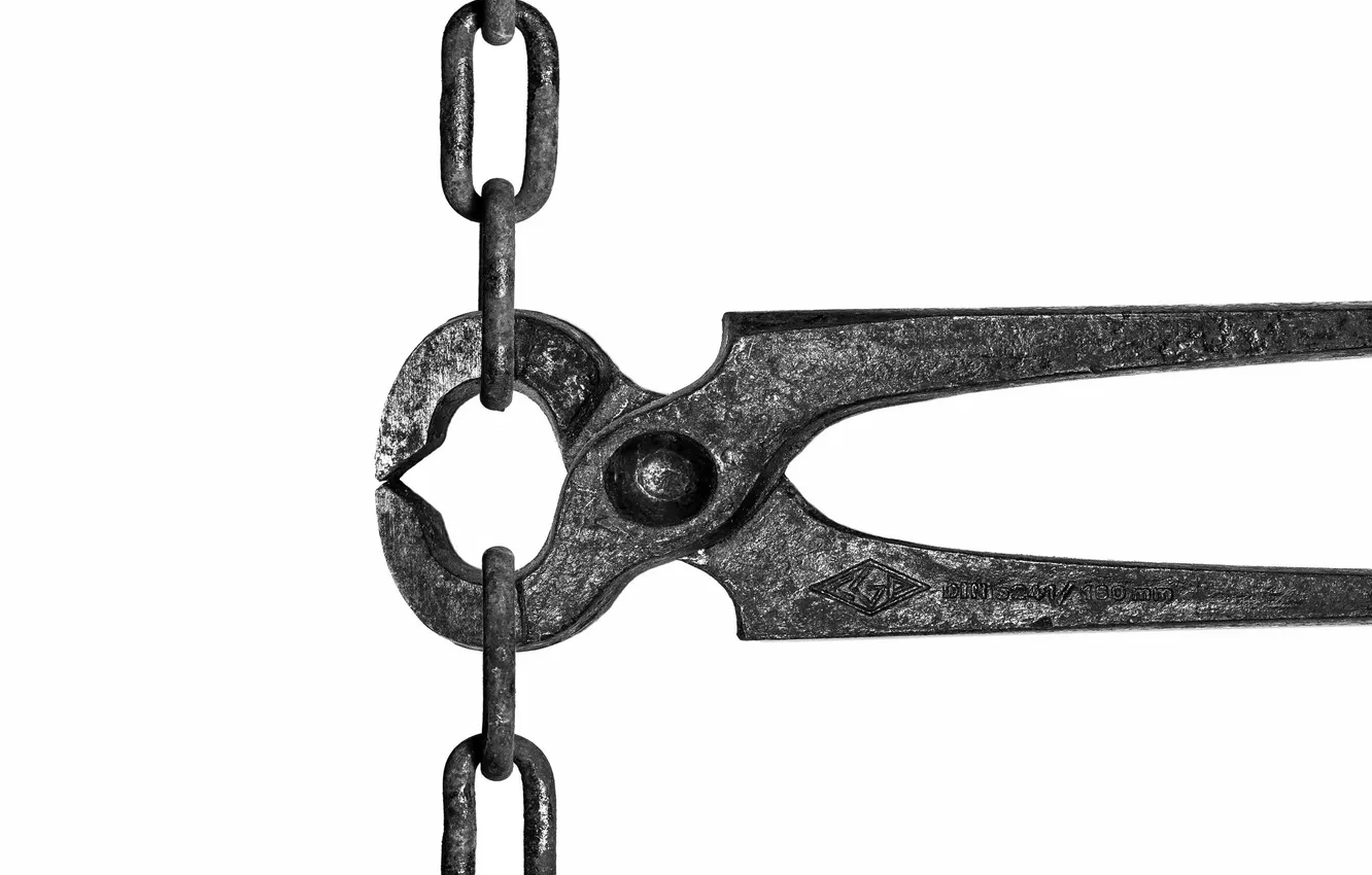 Photo wallpaper macro, background, chain