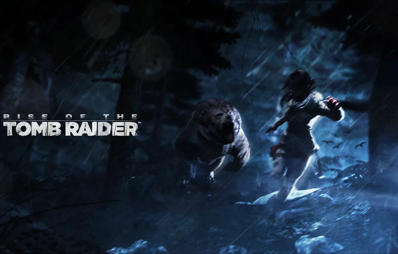 Photo wallpaper forest, night, chase, bear, tomb raider, Lara Croft, Rise of the Tomb Raider