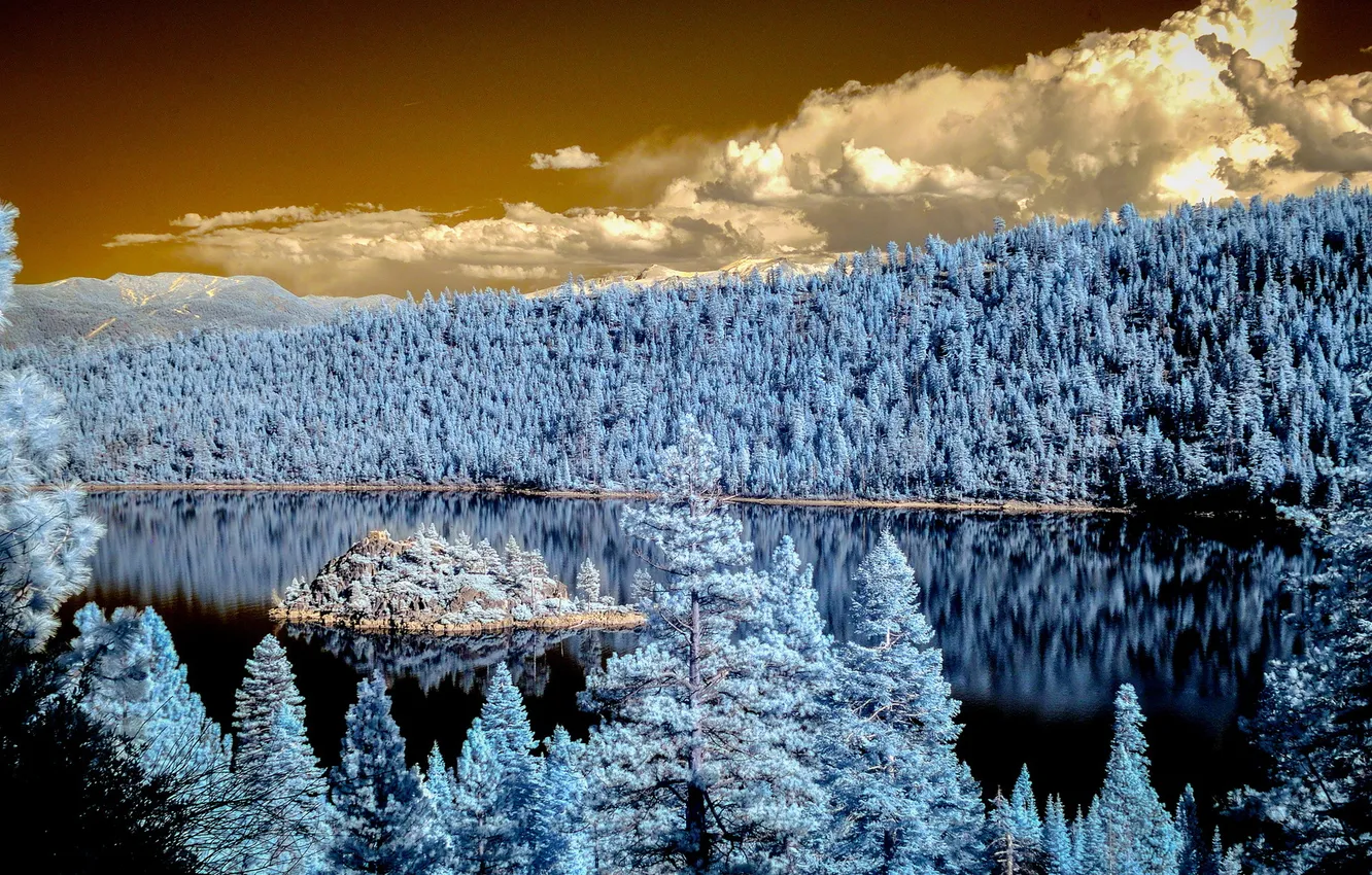 Photo wallpaper forest, the sky, river