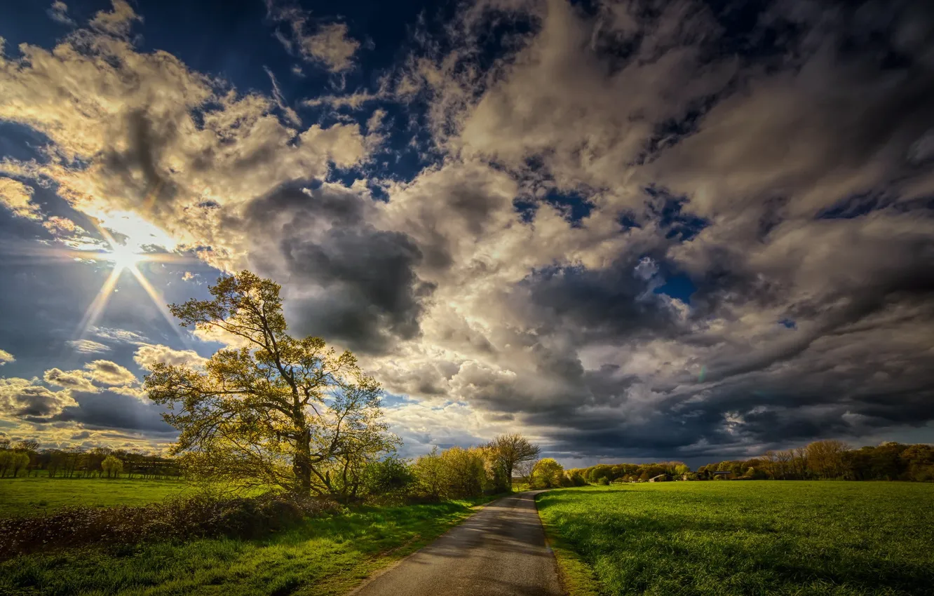 Photo wallpaper road, morning, DEEWR