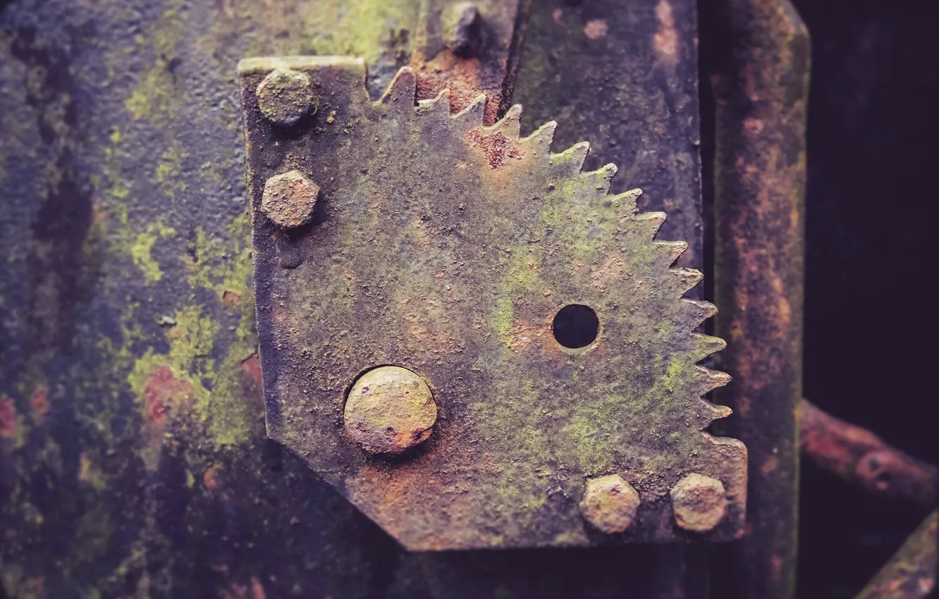 Photo wallpaper macro, rust, Death Metal