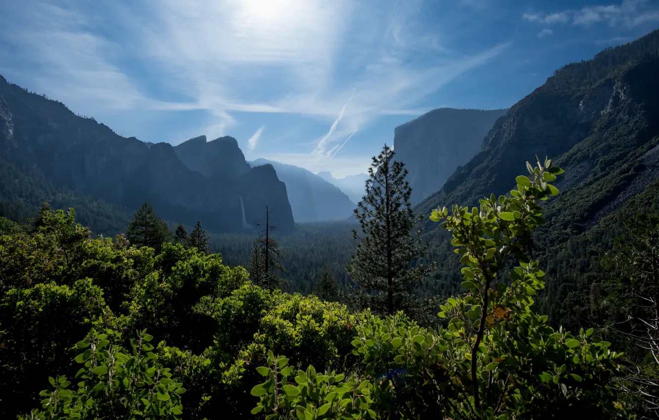 Photo wallpaper forest, trees, mountains, fog, rocks, foliage, the slopes, dal