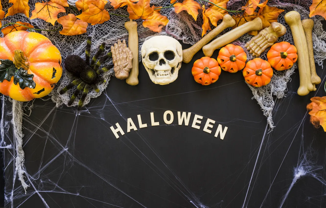 Photo wallpaper skull, web, bones, Halloween, pumpkin, sake, Halloween, pumpkin