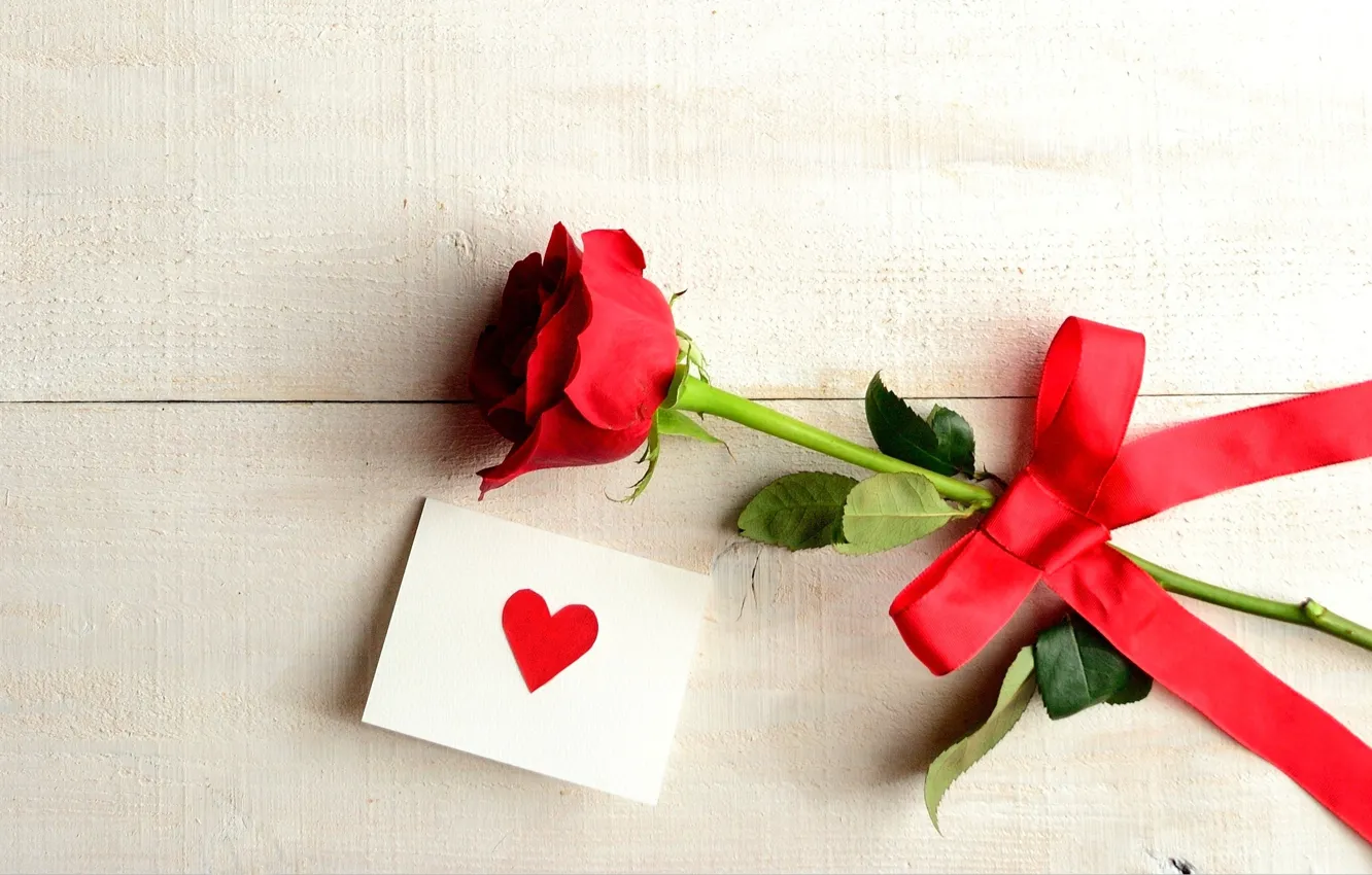 Photo wallpaper flower, love, holiday, heart, rose, love, rose, flower