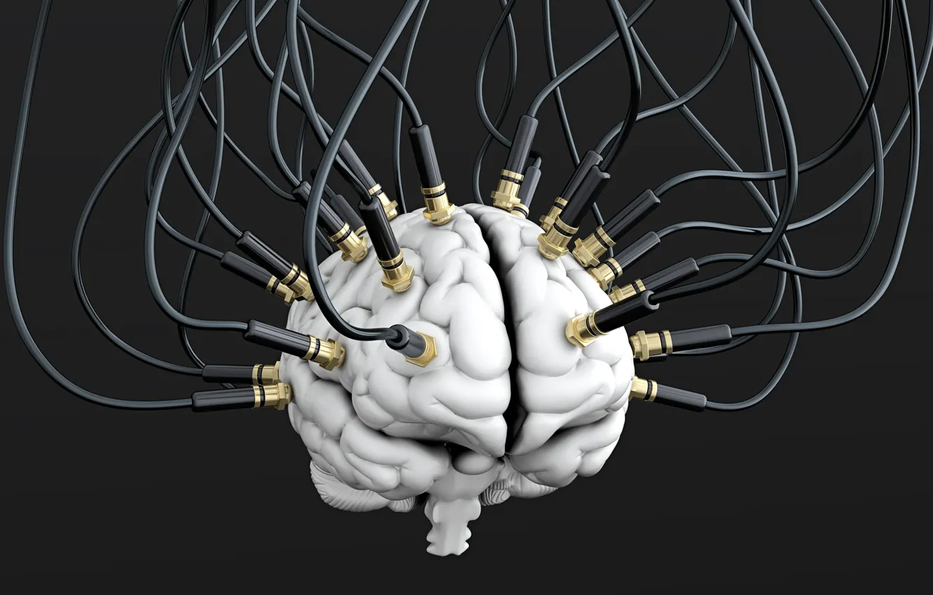 Photo wallpaper wire, cables, brain, brain