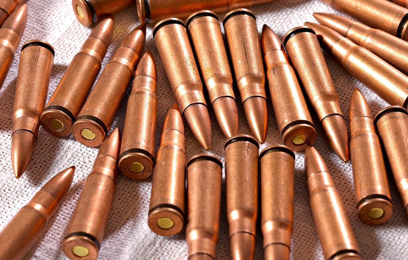 Photo wallpaper bullets, cartridges, sleeve