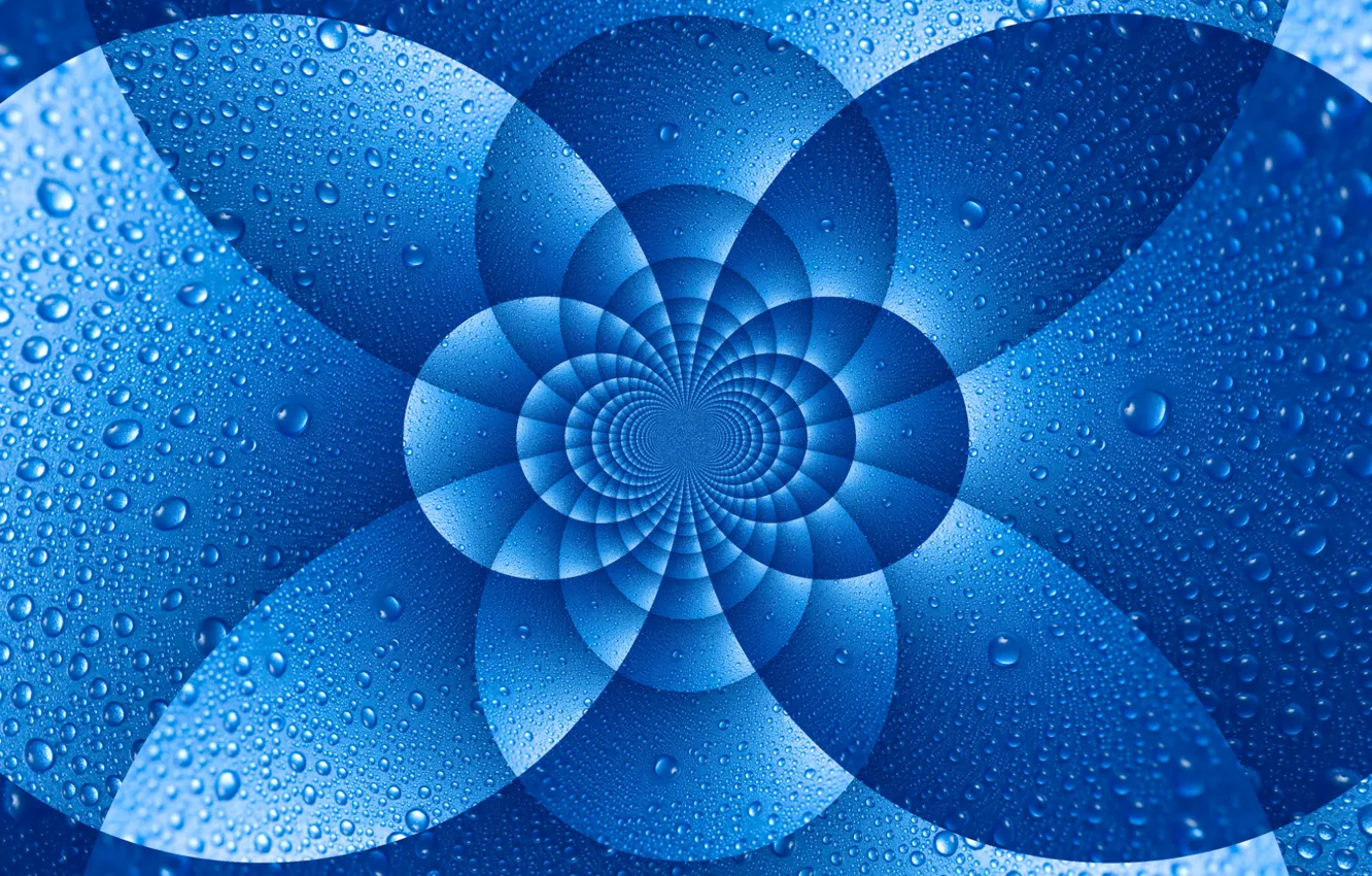 Photo wallpaper water, drops, macro, pattern, arc, symmetry