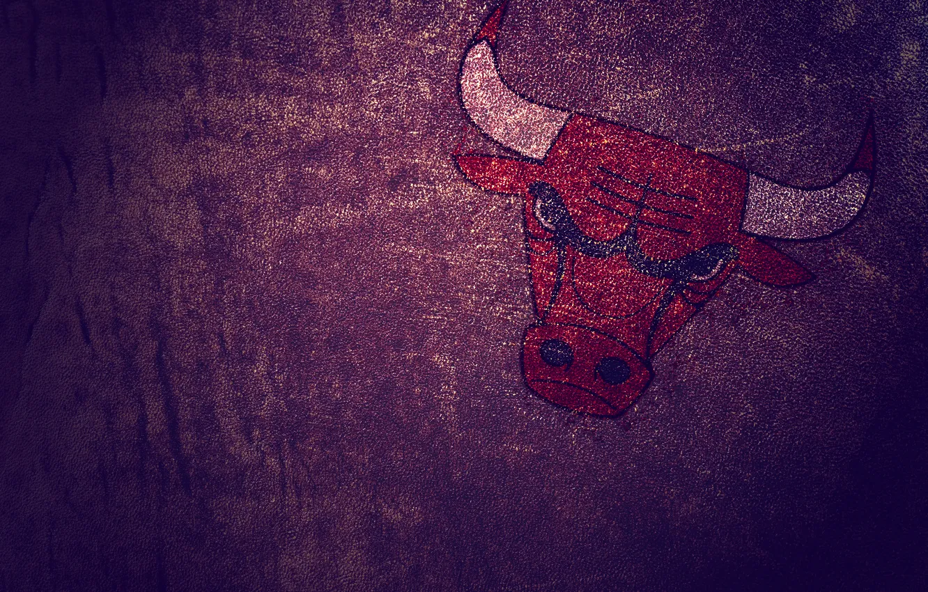Photo wallpaper minimalism, leather, Chicago Bulls, bull