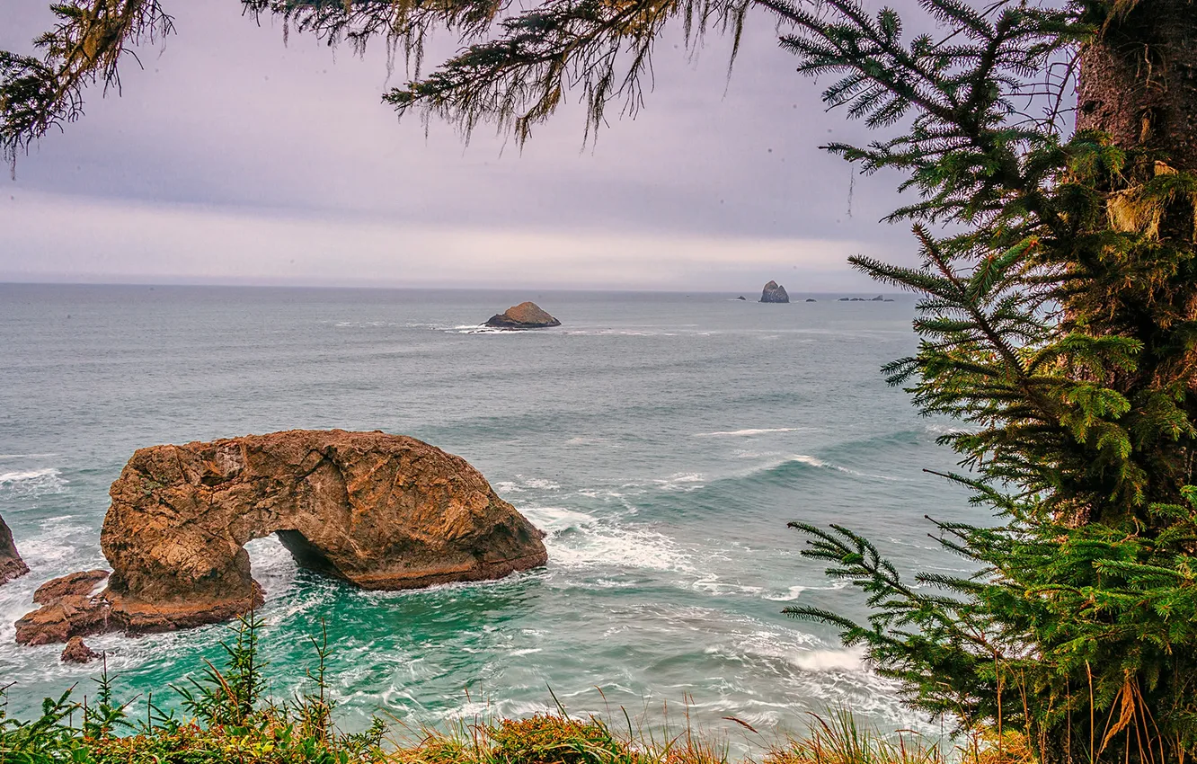 Photo wallpaper sea, trees, rocks, shore, arch