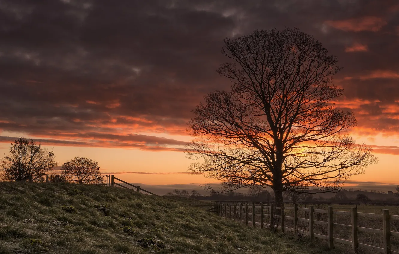 Photo wallpaper sunset, nature, the fence