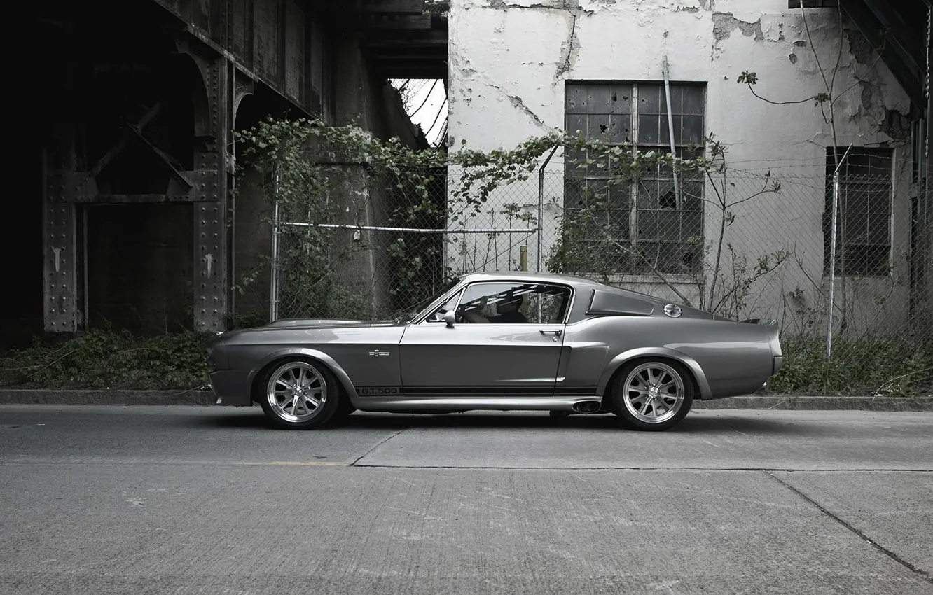 Photo wallpaper GT500, Ford Mustang, Shelby Eleanor, Ford Mustang