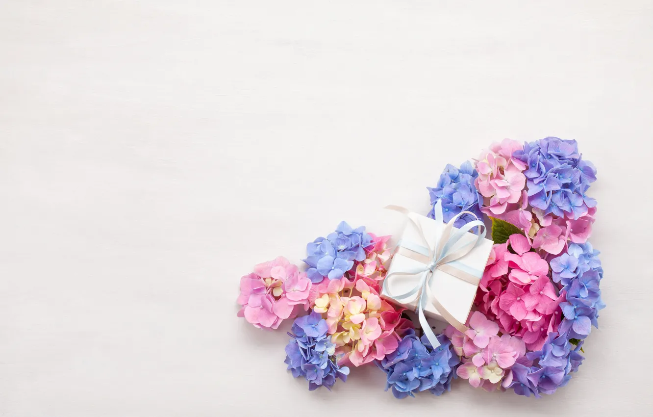 Photo wallpaper flowers, gift, Hydrangea