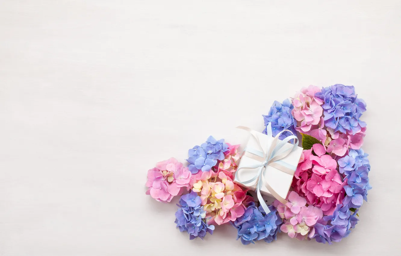 Photo wallpaper flowers, gift, hydrangea
