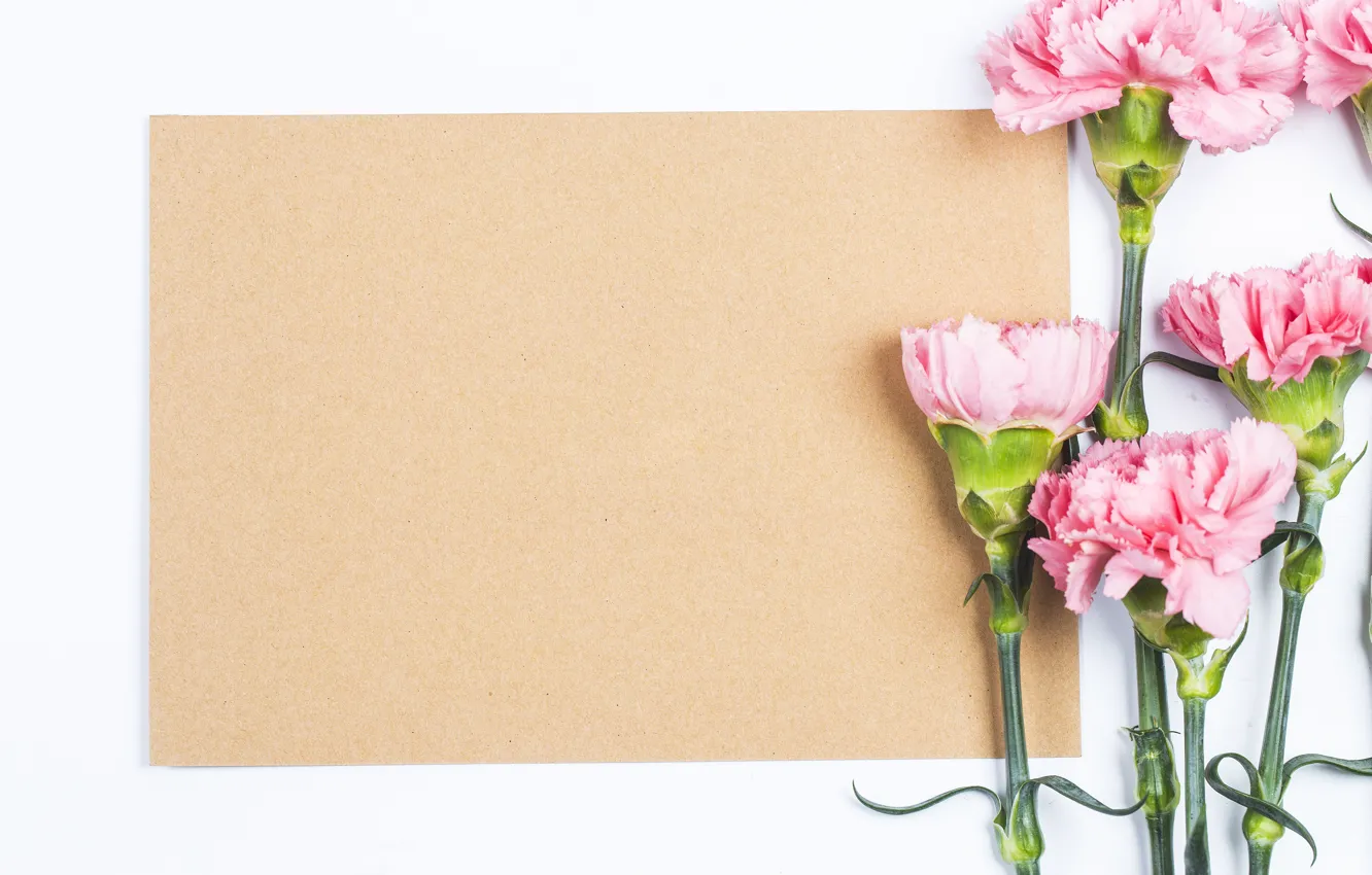 Photo wallpaper flowers, paper, clove