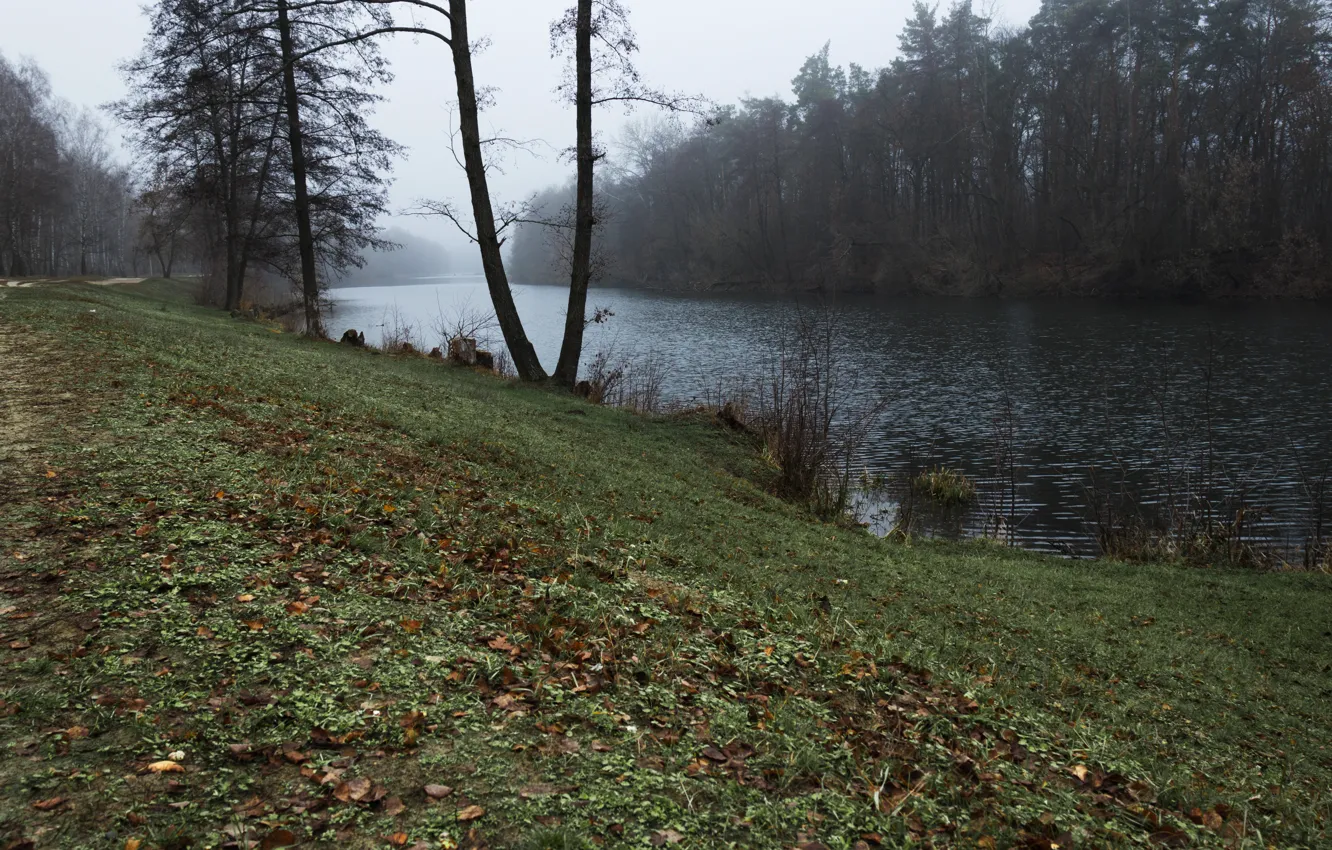 Photo wallpaper autumn, forest, river