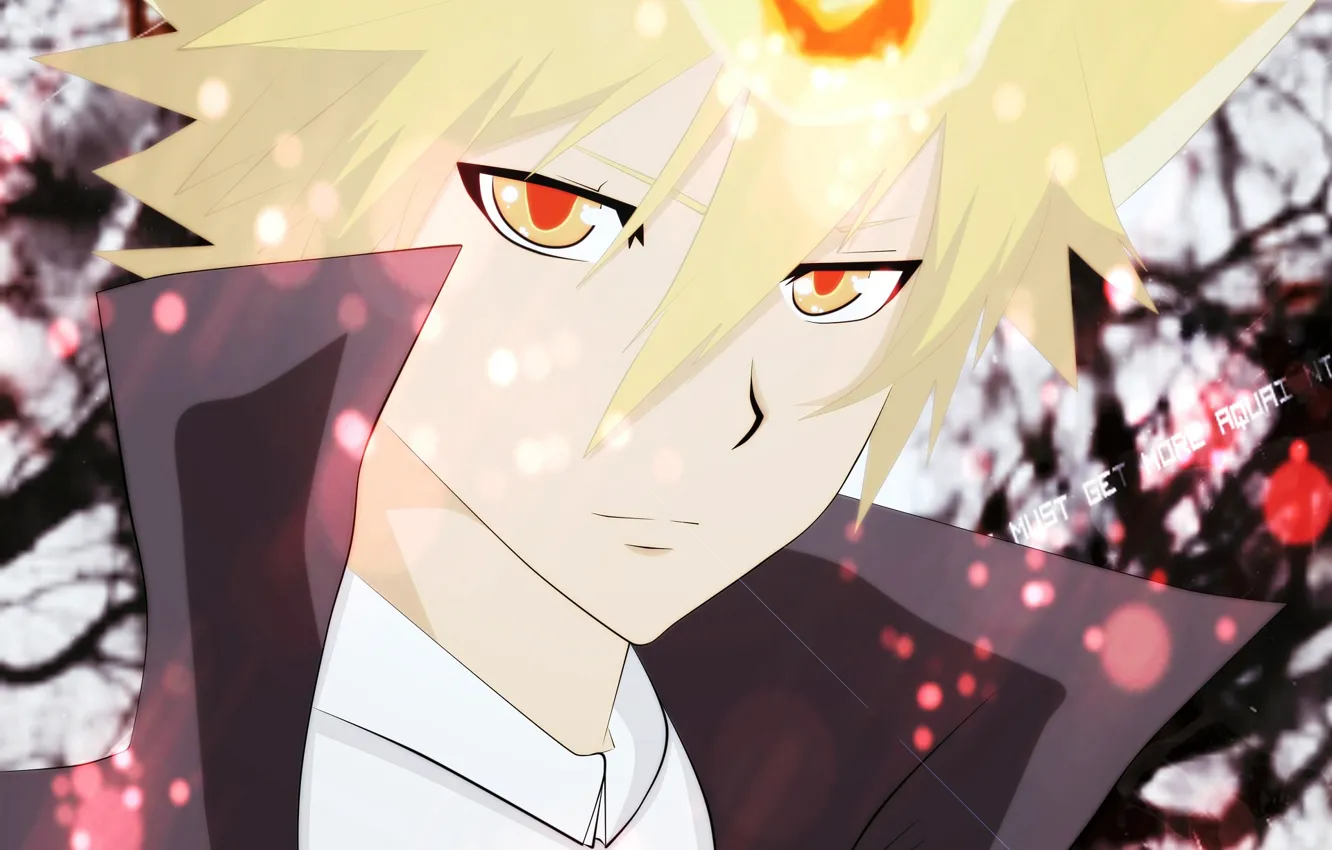 Photo wallpaper lights, guy, katekyo Hitman reborn, Teacher mafia Reborn, The Clams Primo