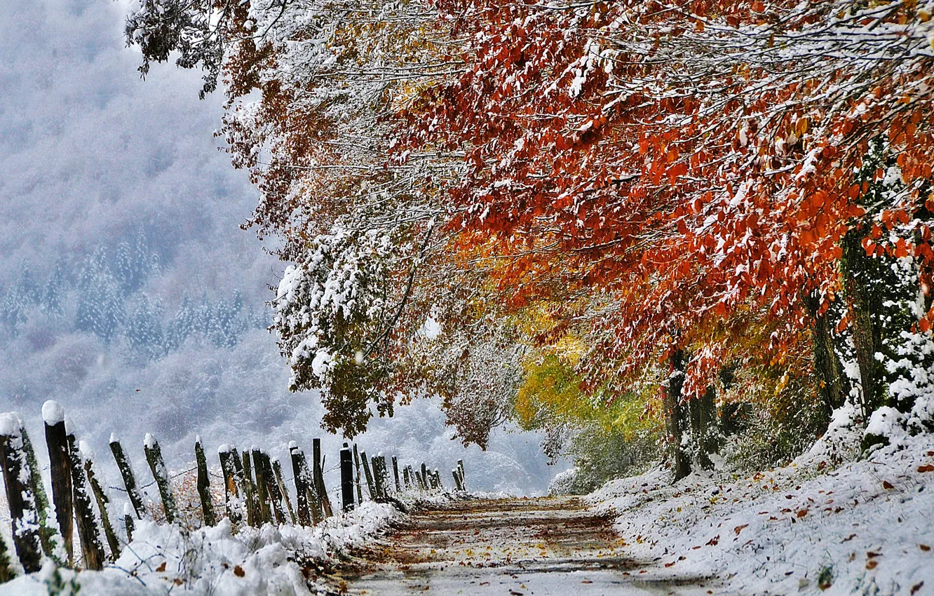 Photo wallpaper autumn, snow, nature, France, November