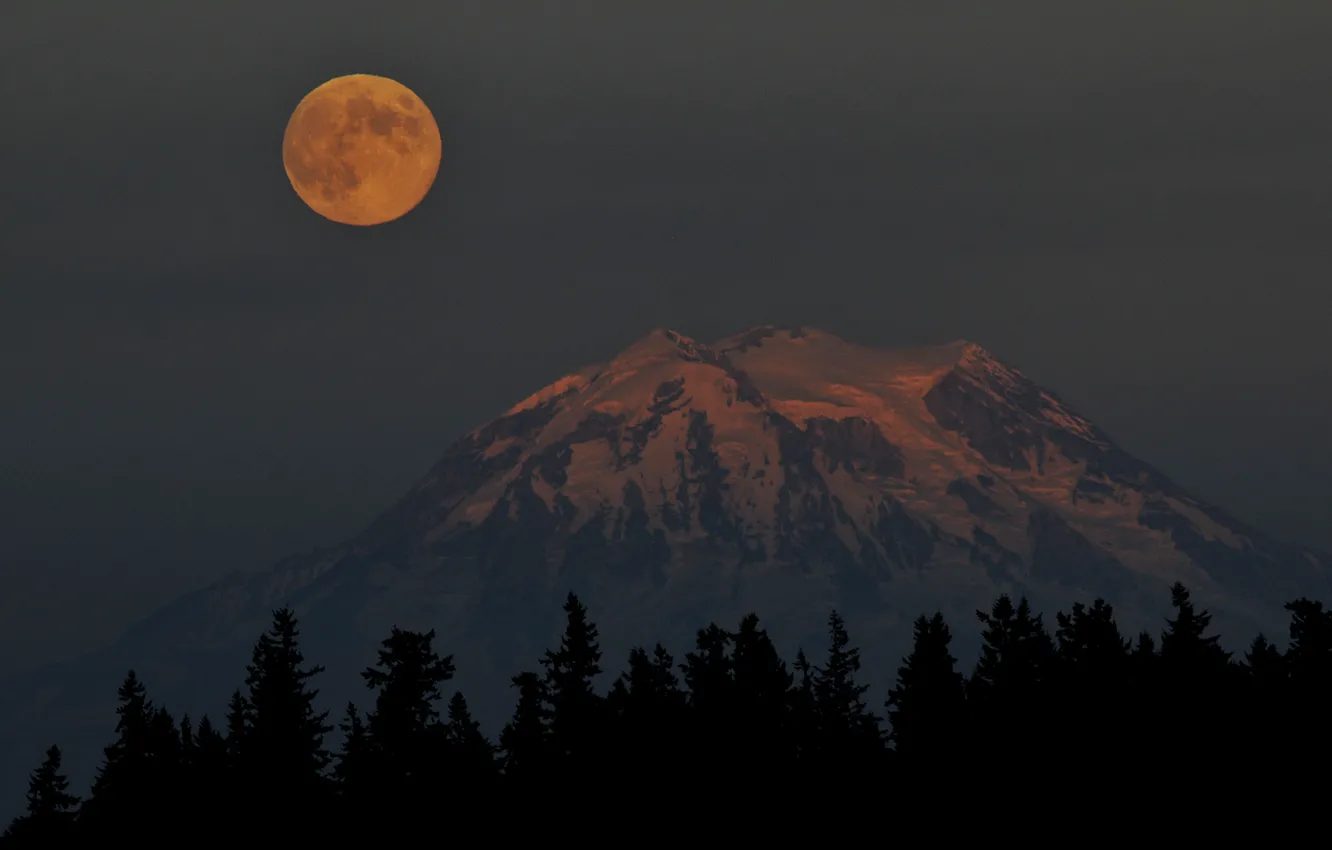 Photo wallpaper the sky, trees, mountains, night, nature, rocks, the moon, the full moon