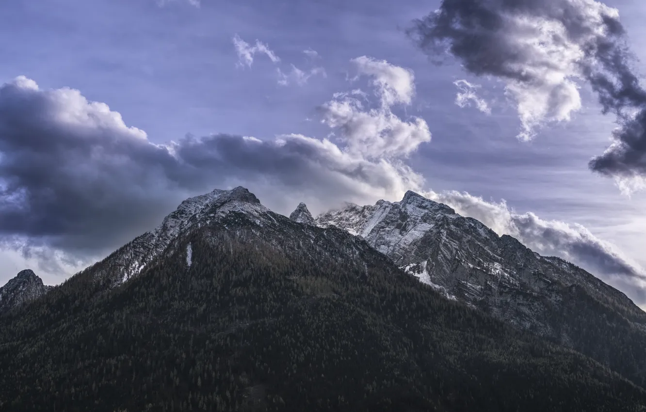 Photo wallpaper the sky, clouds, trees, mountains, nature, rocks