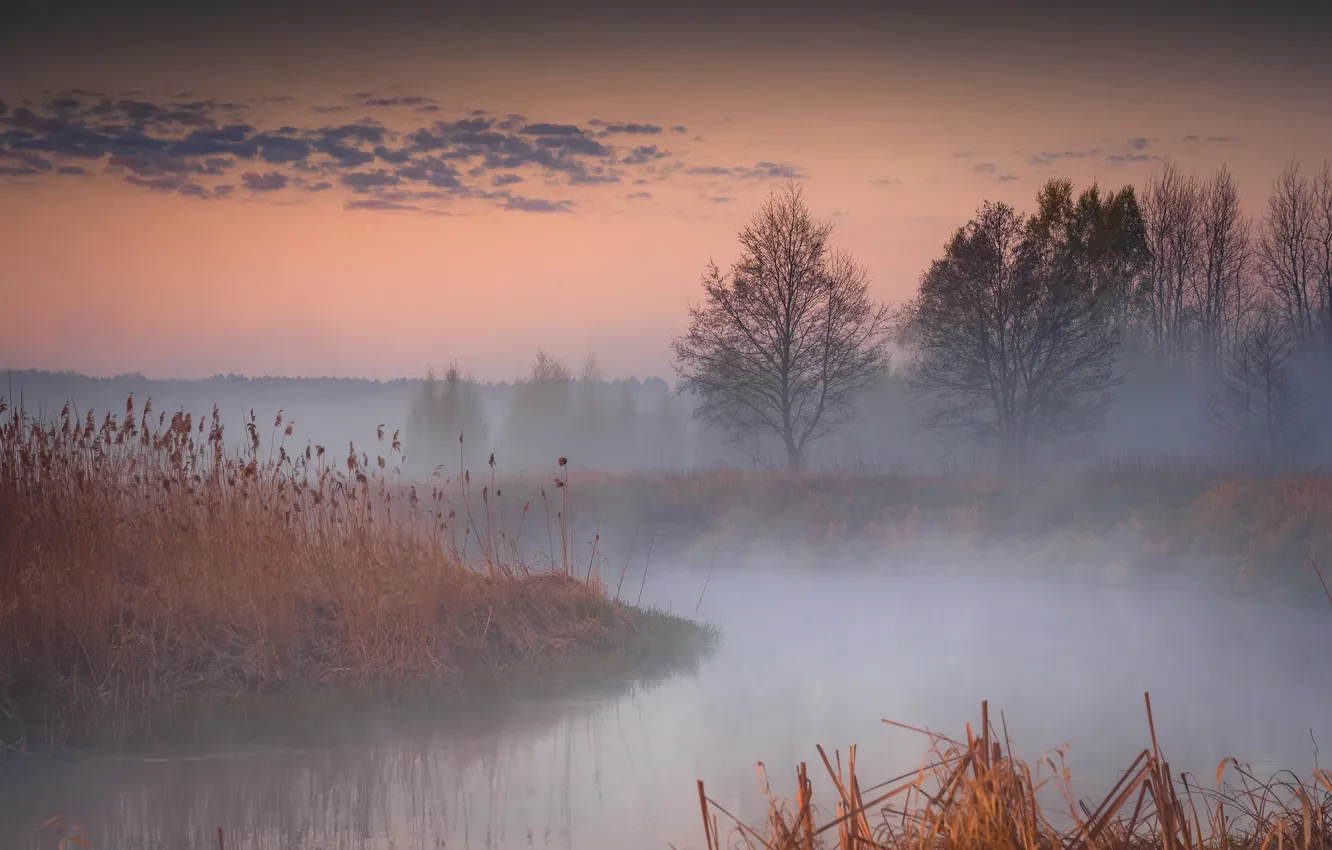 Photo wallpaper night, fog, river
