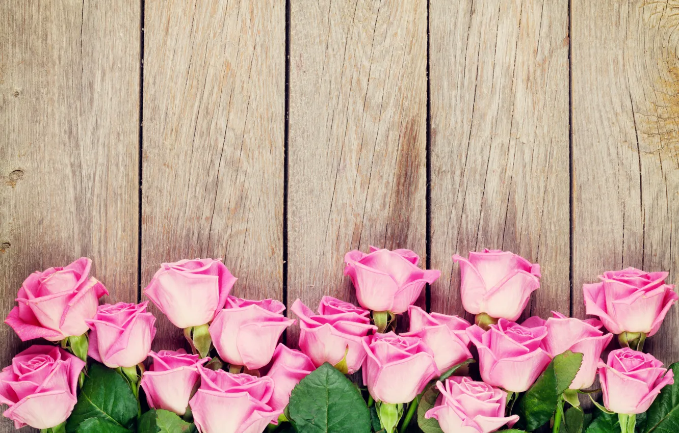 Photo wallpaper roses, wood, pink, romantic, roses, pink roses