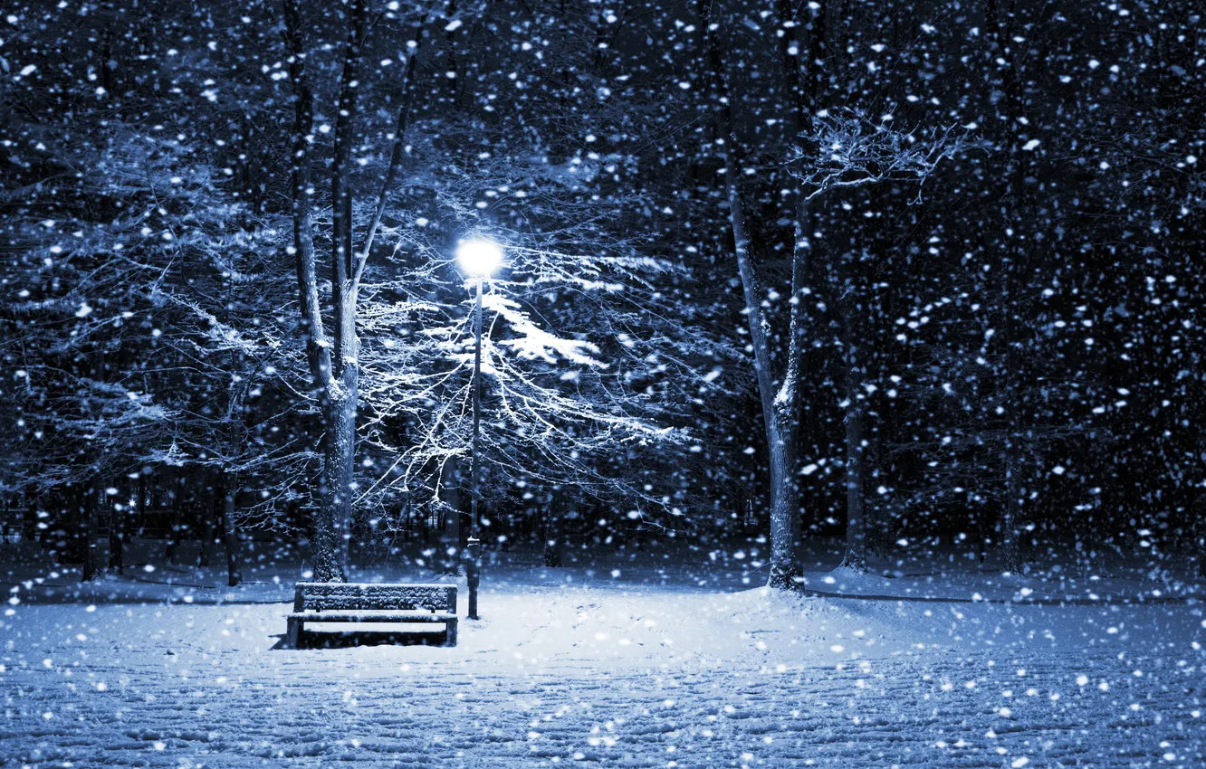 Photo wallpaper winter, snow, trees, landscape, night, nature, Park, loneliness