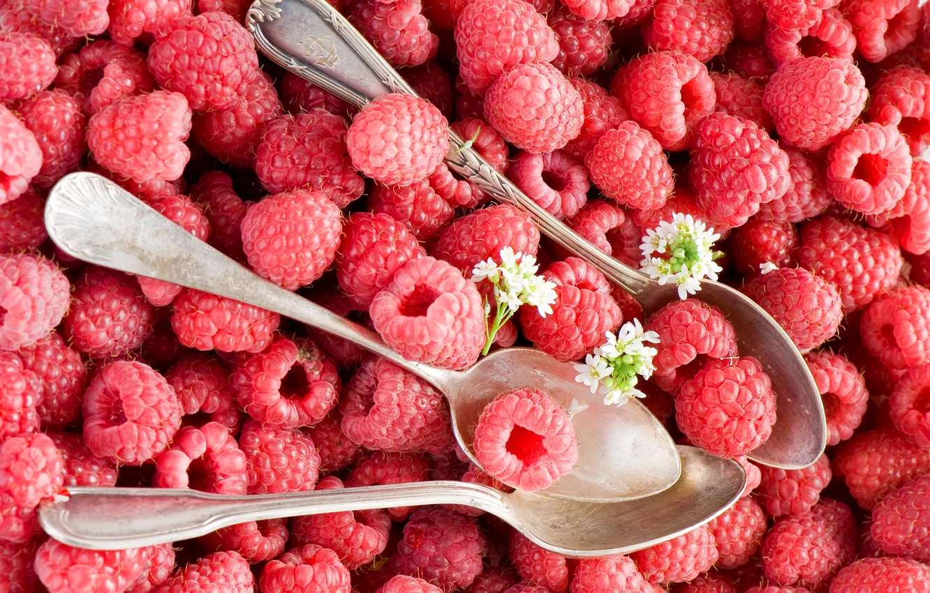 Photo wallpaper summer, berries, raspberry, spoon, Anna Verdina