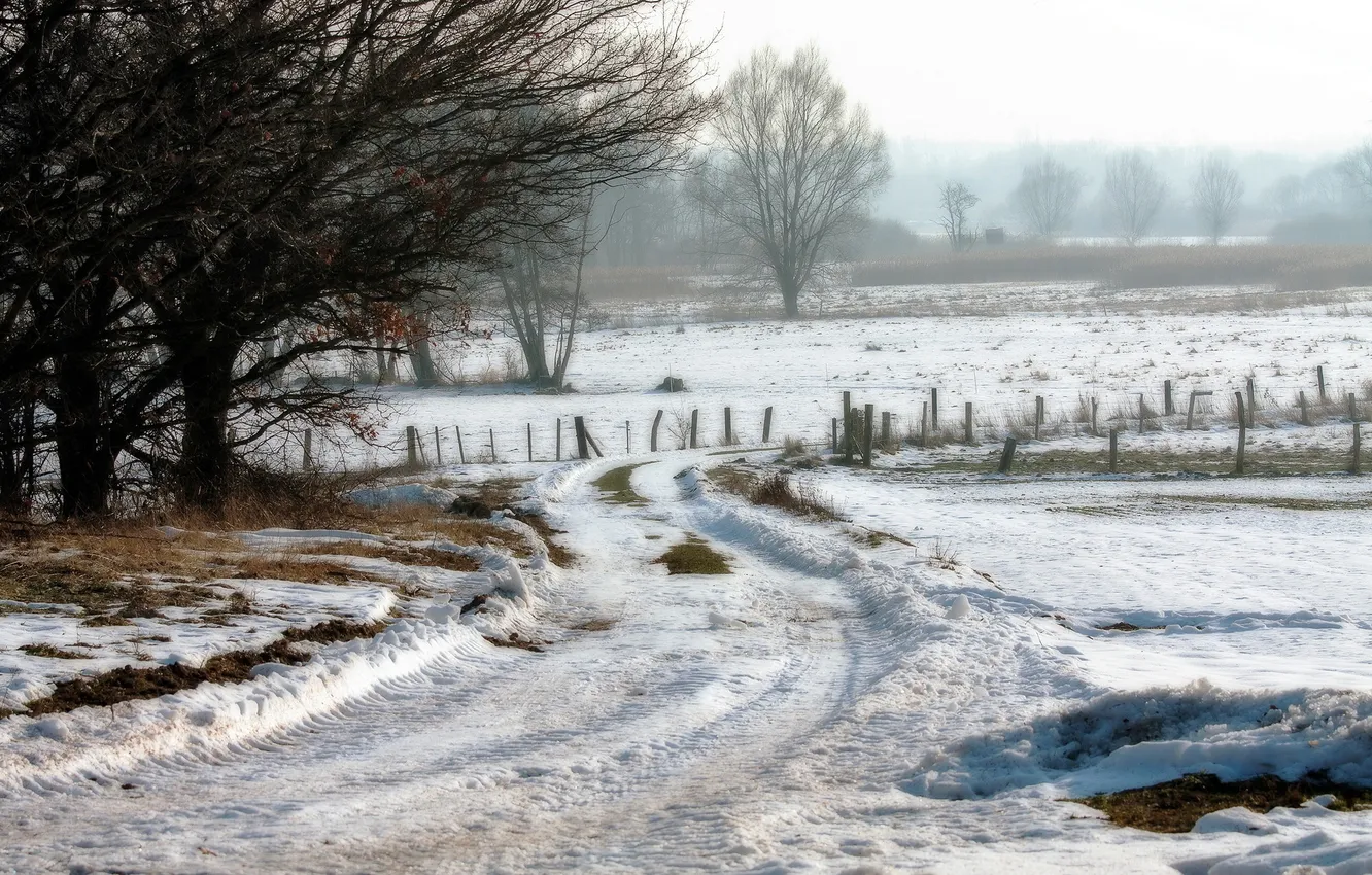 Photo wallpaper winter, road, field, morning