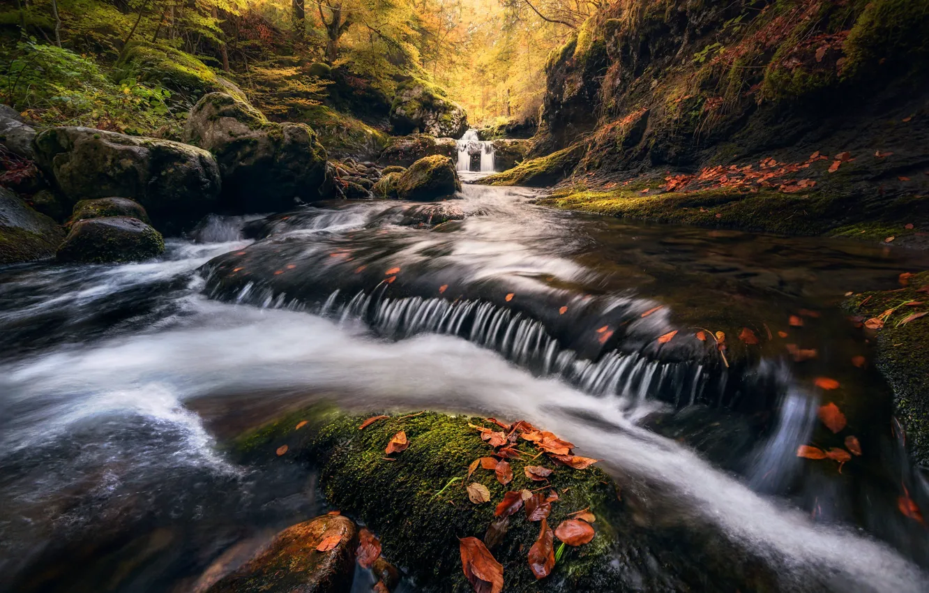 Photo wallpaper autumn, forest, river, waterfall, Spain, cascade, Spain, fallen leaves