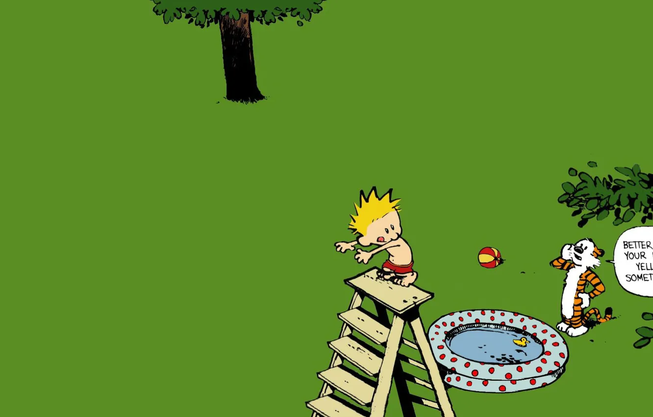 Photo wallpaper Comics, cartoons, Calvin and Hobbes