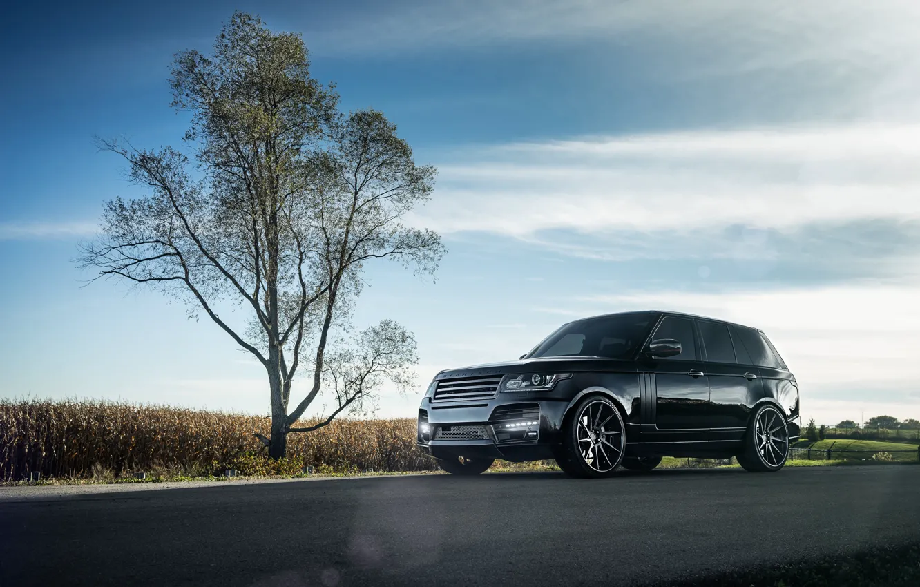 Photo wallpaper car, tree, SUV, range rover