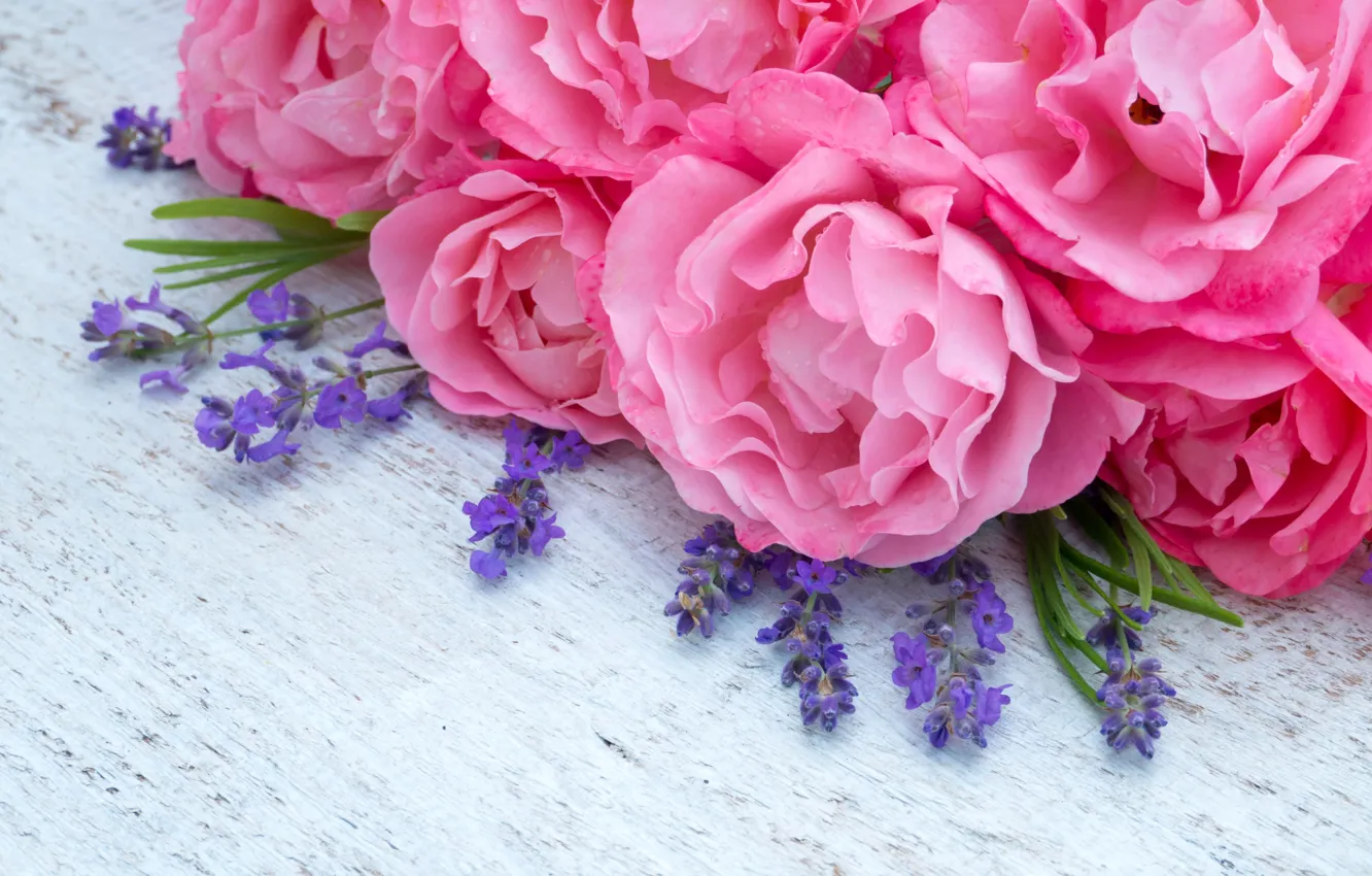 Photo wallpaper flowers, pink, pink, flowers, lavender, peonies, lavender, peonies