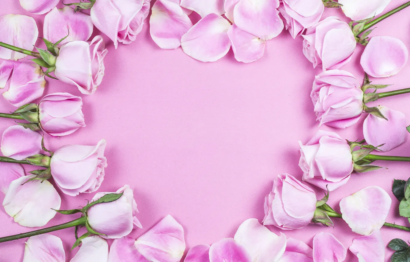 Photo wallpaper flowers, background, roses, petals, pink, buds, composition