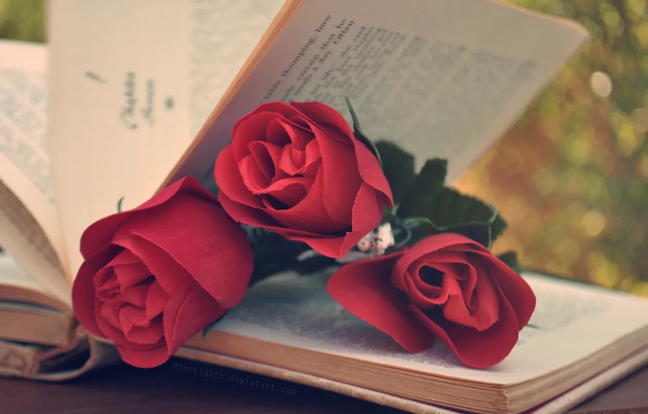 Photo wallpaper flowers, roses, red, book, page