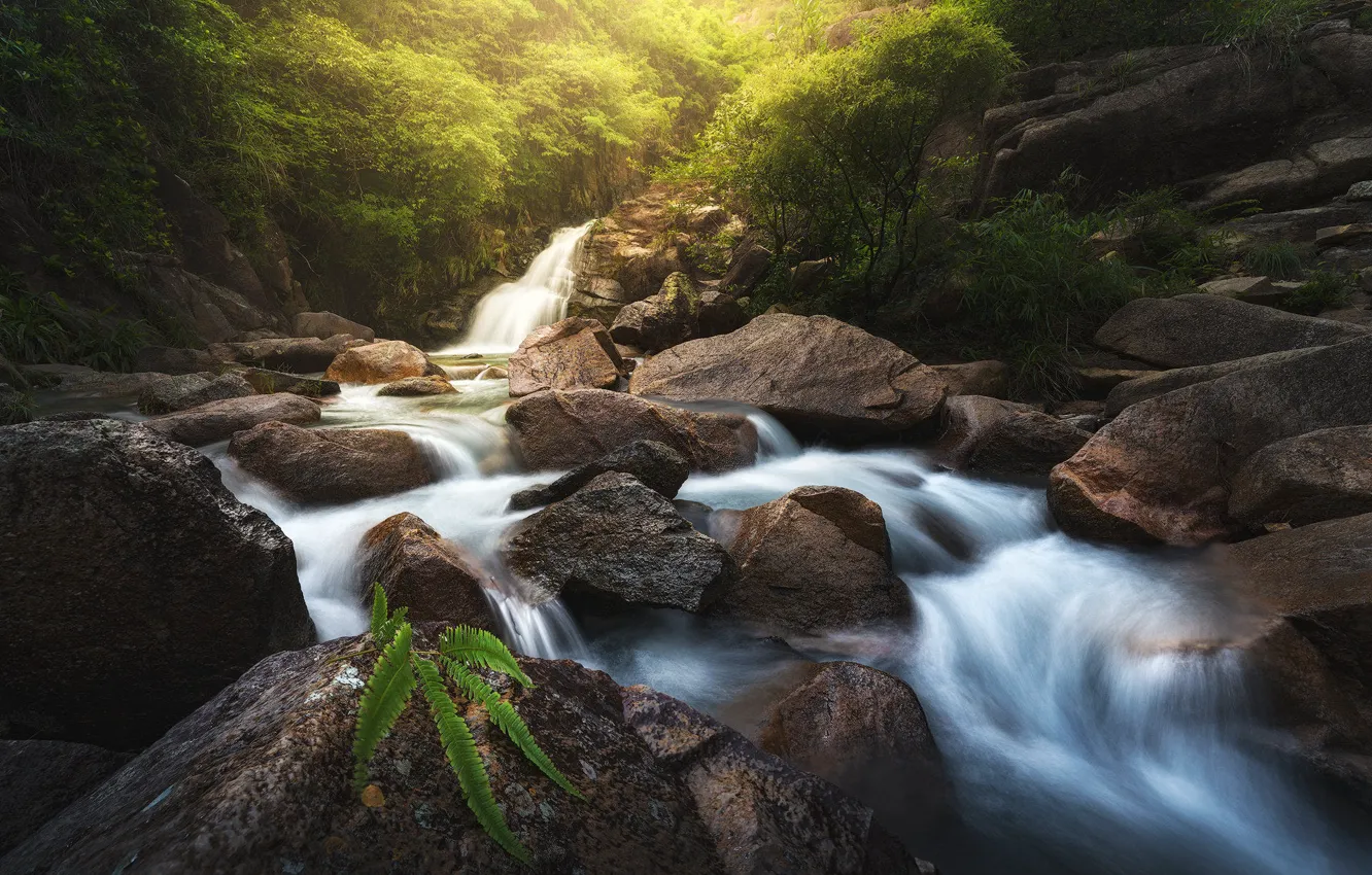 Photo wallpaper light, river, stones, rocks, for, waterfall, stream, fern