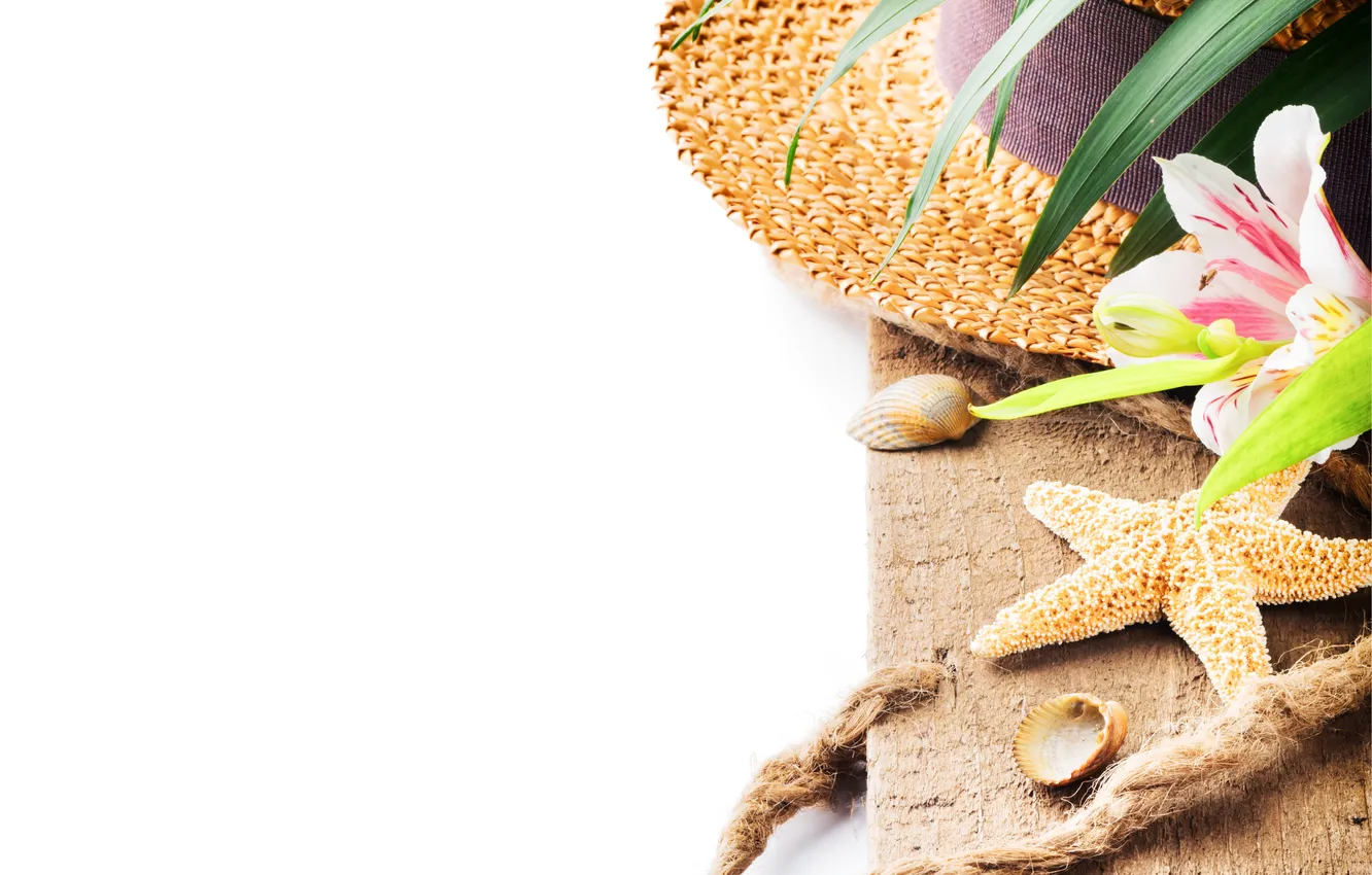 Photo wallpaper flowers, hat, rope, starfish