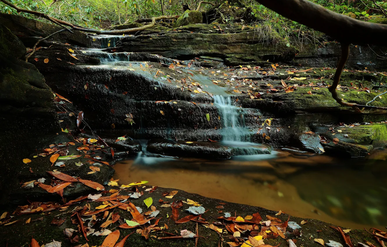 Photo wallpaper water, river, stones, waterfall, stream, river, rocks, waterfall