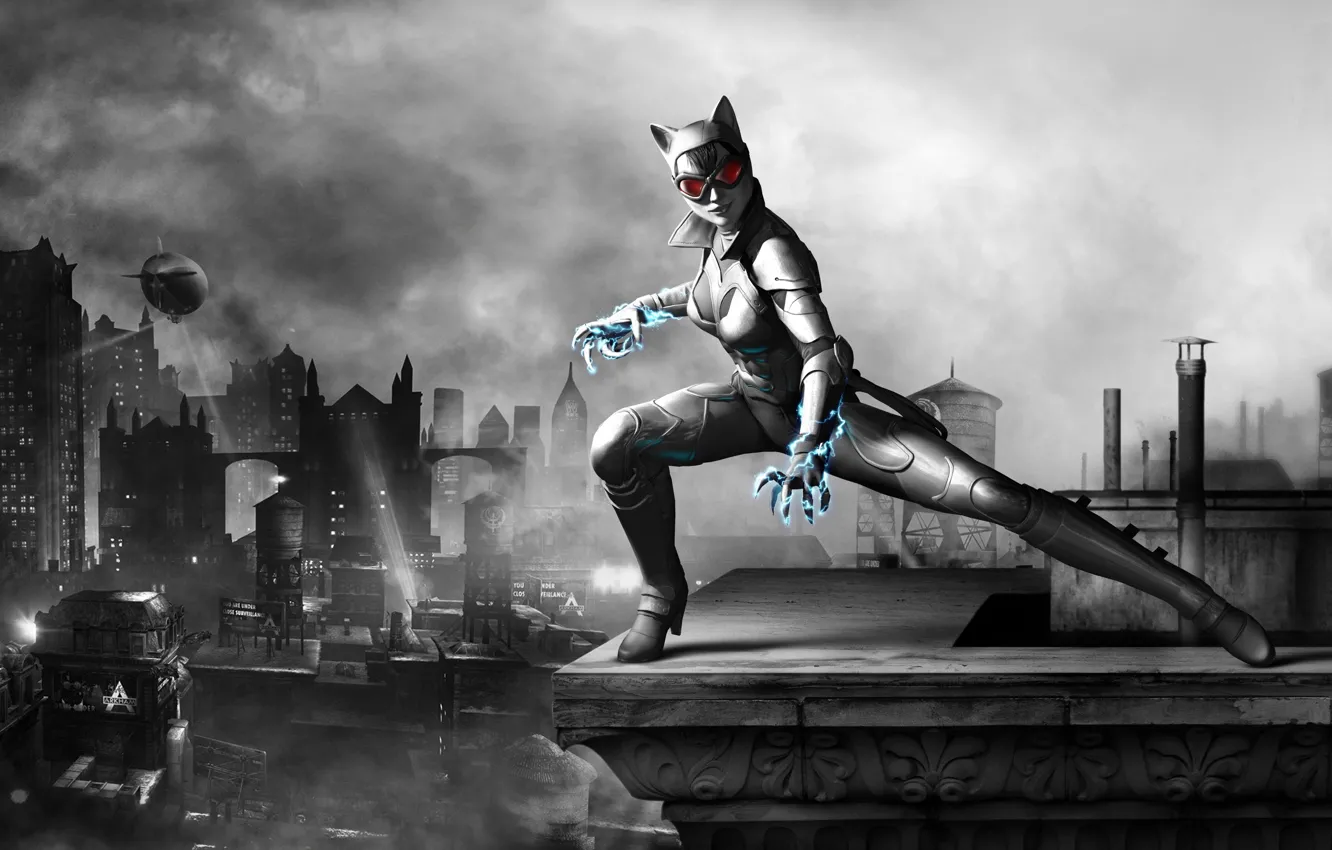 Photo wallpaper armor, Catwoman, Catwoman, Selina Kyle, Selina Kyle, Wii U, Batman: Arkham City Armored Edition