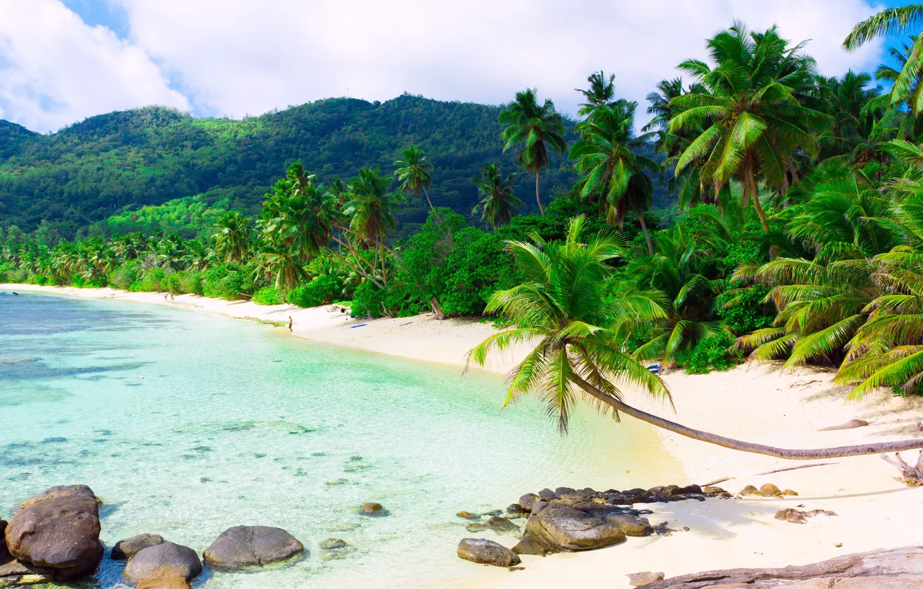 Photo wallpaper sand, sea, beach, clouds, landscape, tropics, palm trees, island