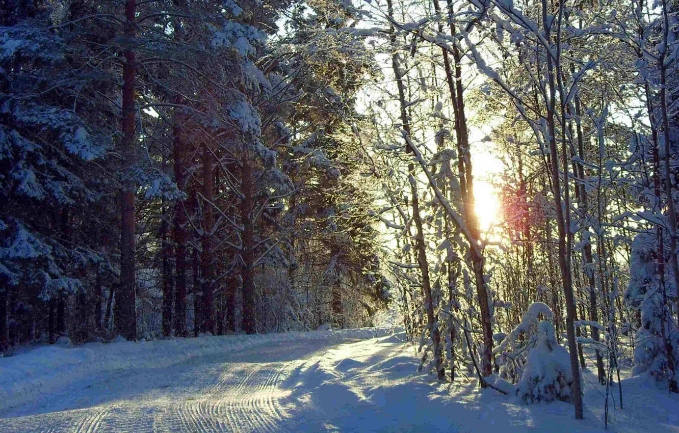 Photo wallpaper winter, road, forest, the sun, snow